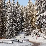 Pokljuka Goreljek