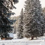 Pokljuka シャレー
