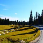 Alpehytte Pokljuka Goreljek
