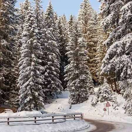 Pokljuka Goreljek