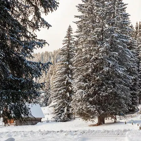 Pokljuka Chalé