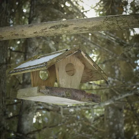 Chalet Pokljuka Goreljek