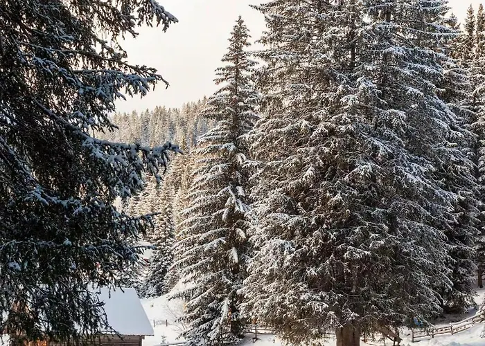 Pokljuka Chalet