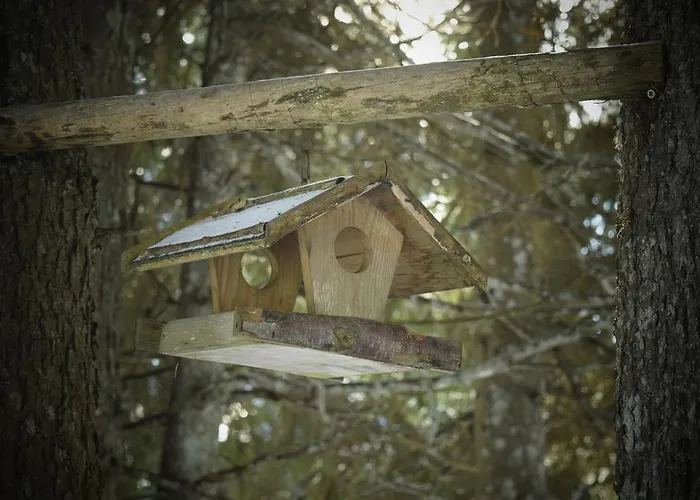 Chalet Pokljuka Goreljek